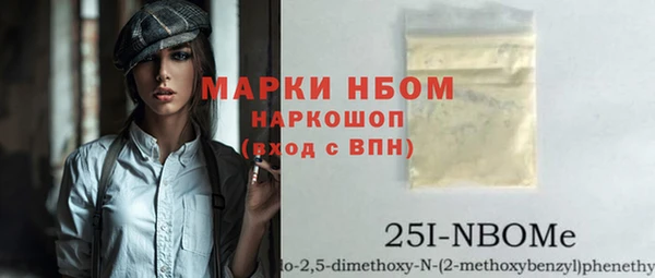 хмурый Алексин