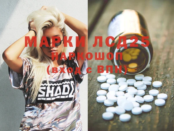 хмурый Алексин